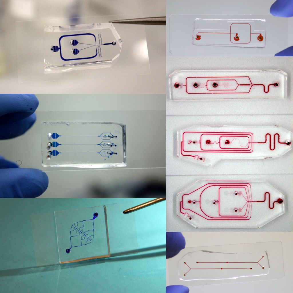 microfluidic chips